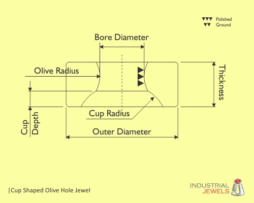 Cup Shaped Olive Hole Jewel